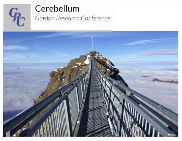 Mari presenting at the Cerebellum Gordon Research Conference